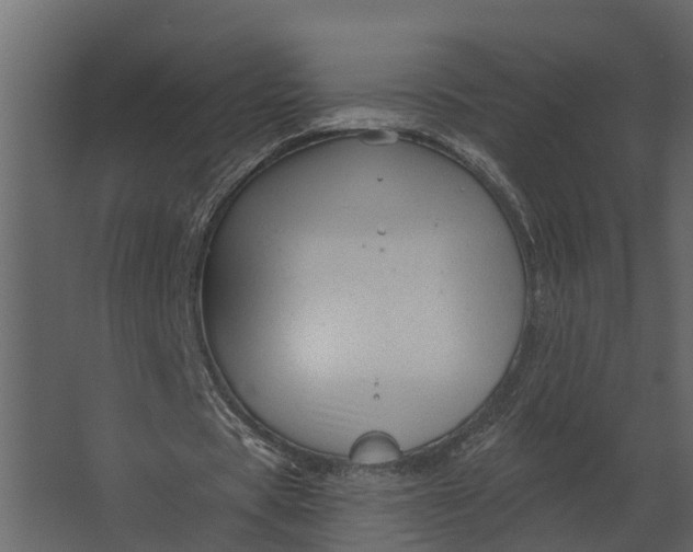 X0000067510529200604211753