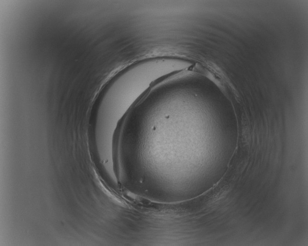 X0000067510530200604211753