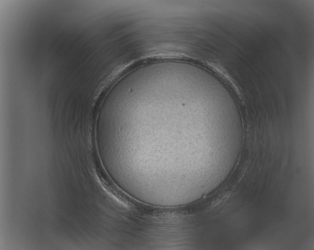 X0000067510533200604211753