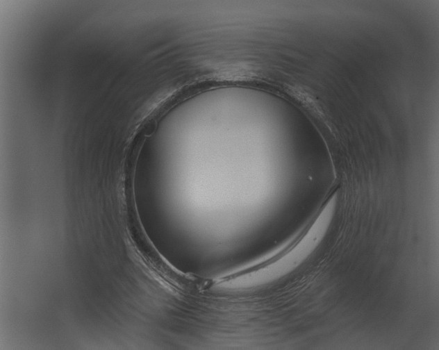 X0000067510535200604211753