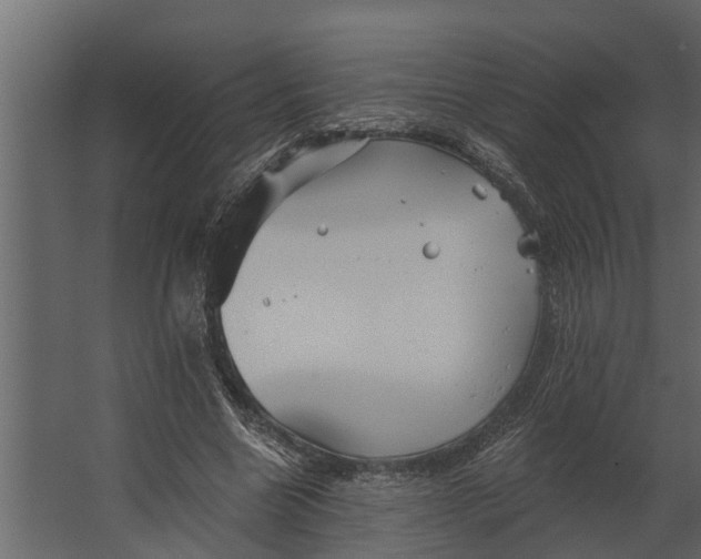 X0000067510538200604211753