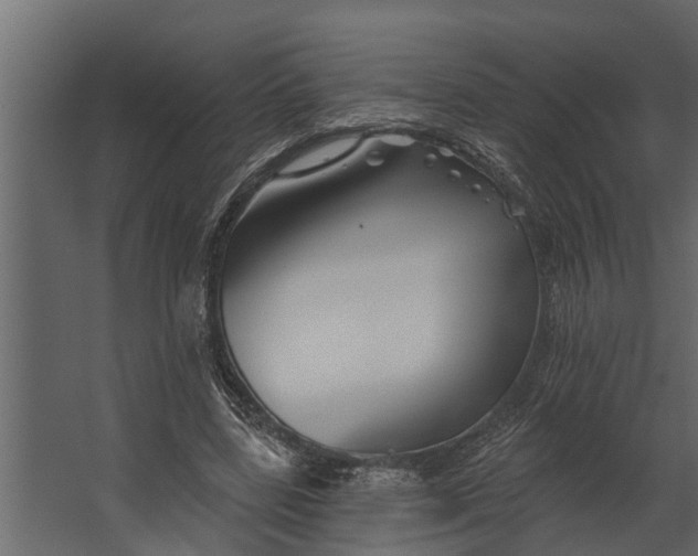 X0000067510539200604211753