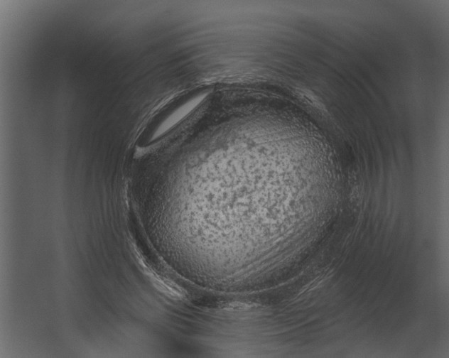 X0000067510542200604211753