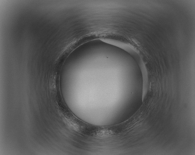 X0000067510543200604211753