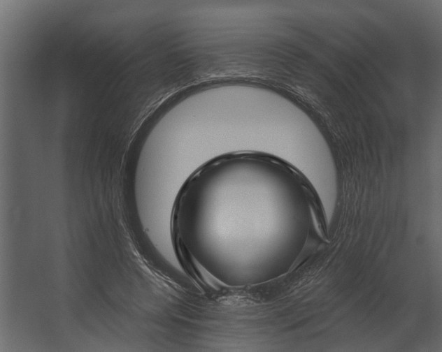 X0000067510544200604211753