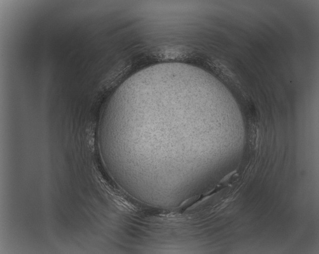 X0000067510545200604211753