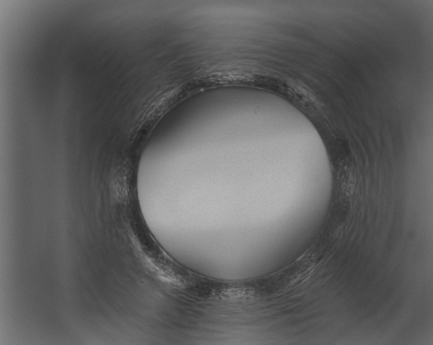 X0000067510546200604211753