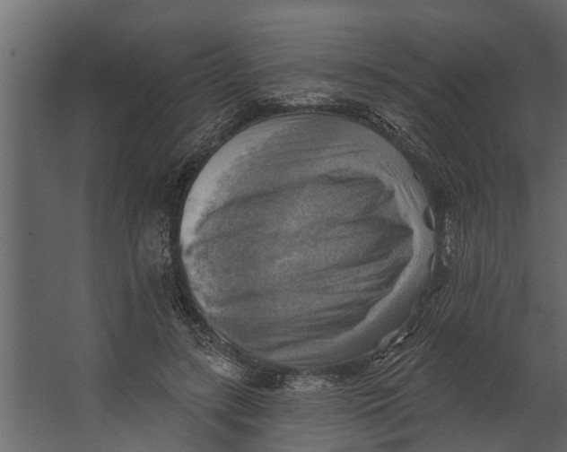 X0000067510547200604211753