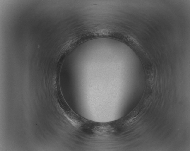 X0000067510548200604211753