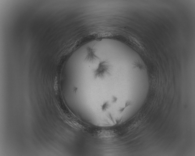 X0000067510549200604211753