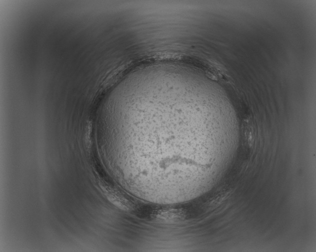 X0000067510550200604211753