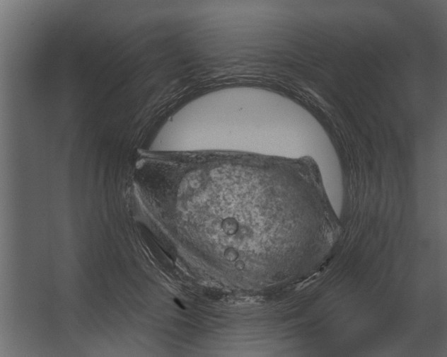 X0000067510553200604211754