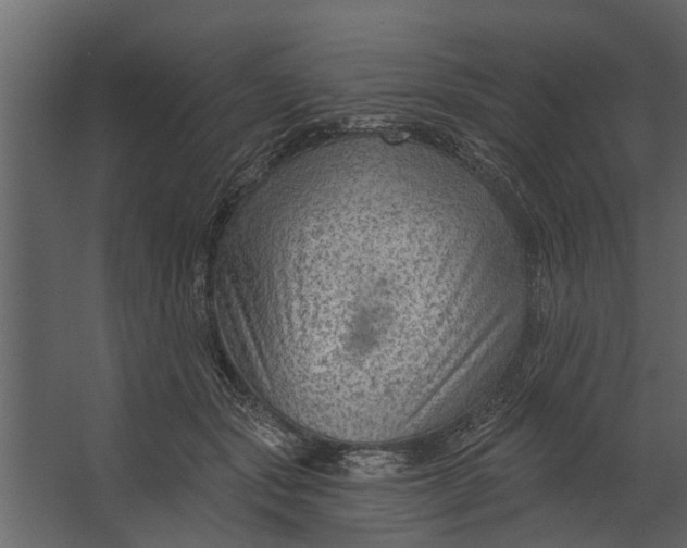 X0000067510557200604211754