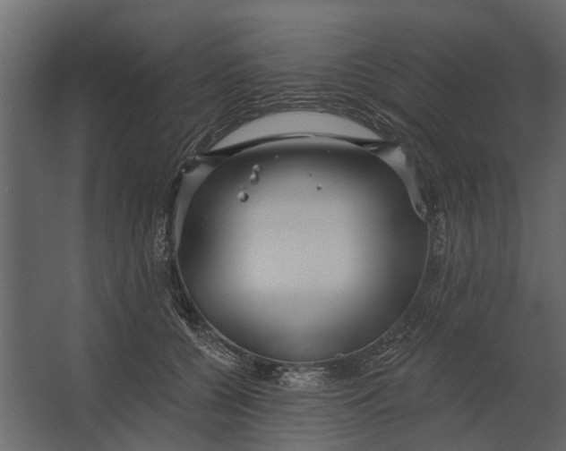 X0000067510560200604211754