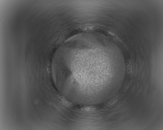 X0000067510561200604211754