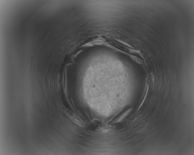 X0000067510563200604211754