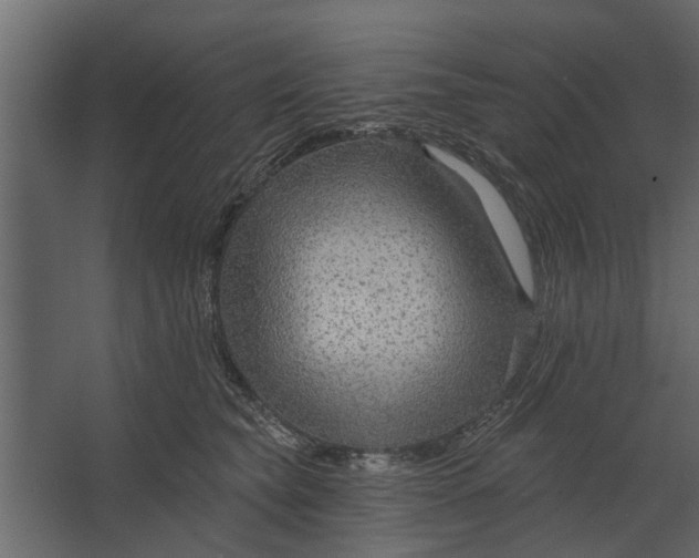 X0000067510565200604211754