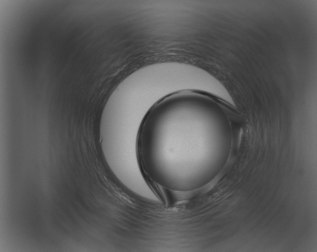 X0000067510566200604211754