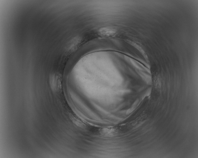 X0000067510570200604211754