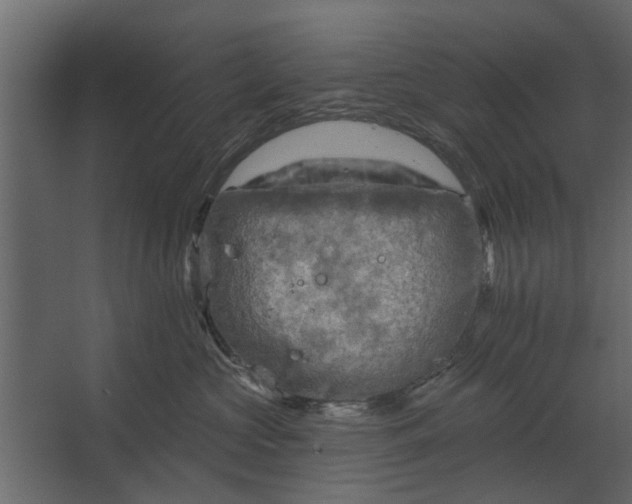 X0000067510573200604211754