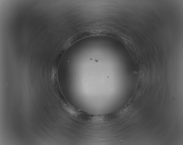 X0000067510574200604211754