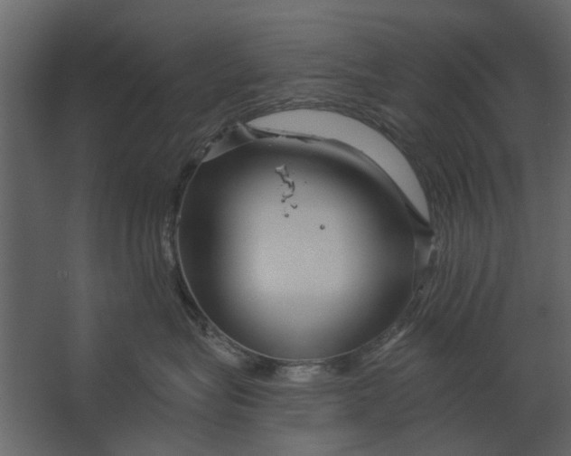 X0000067510575200604211754