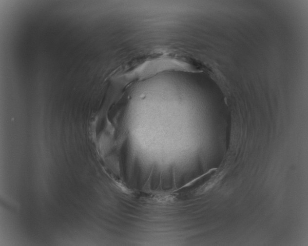 X0000067510576200604211754