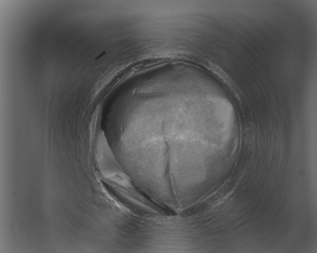 X0000067510577200604211753