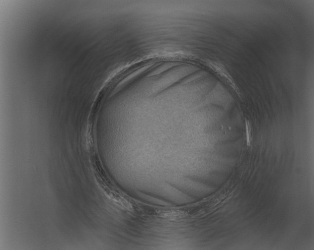 X0000067510579200604211753