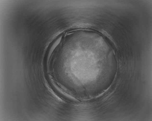 X0000067510581200604211753