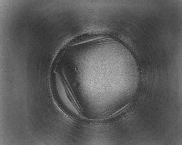 X0000067510582200604211753