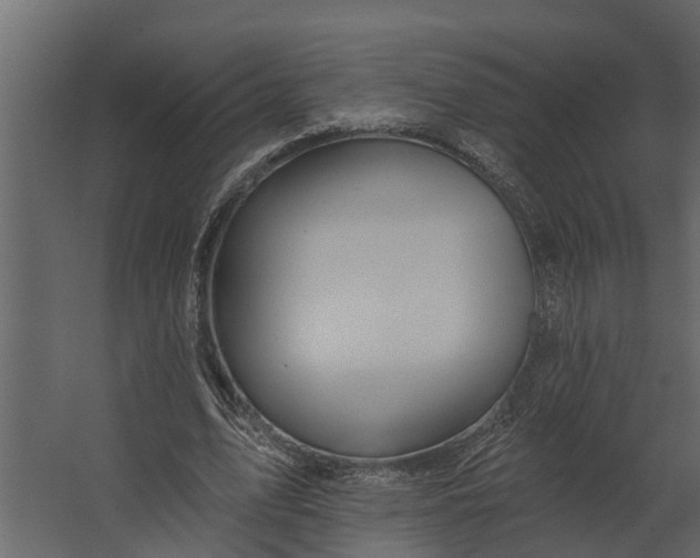 X0000067510583200604211753