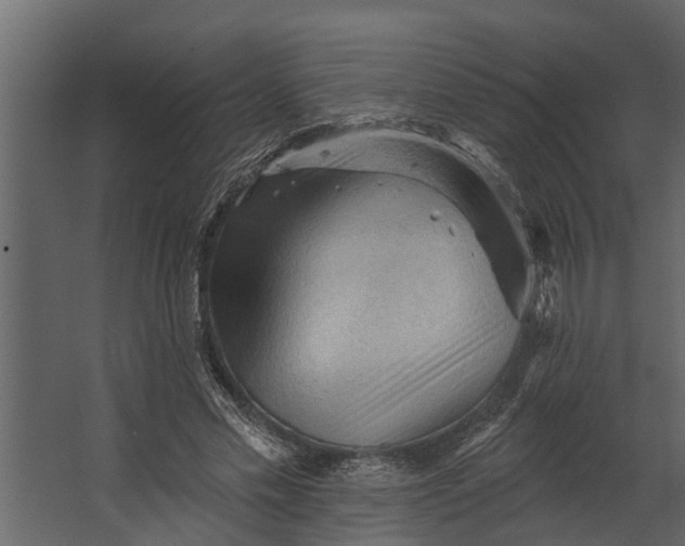 X0000067510589200604211753