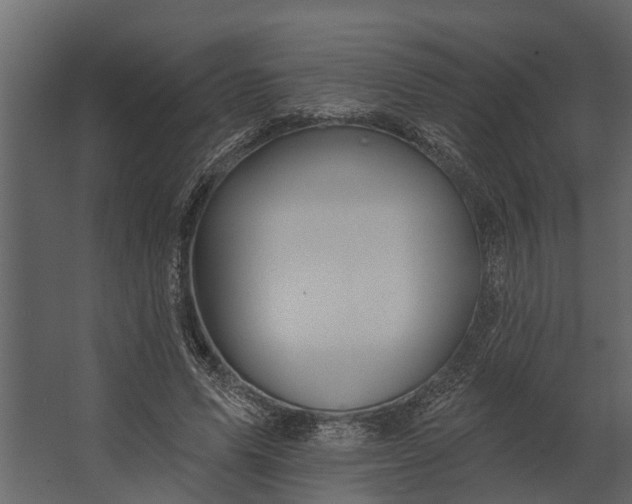 X0000067510591200604211753