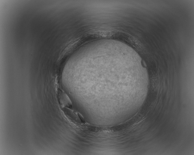 X0000067510594200604211753