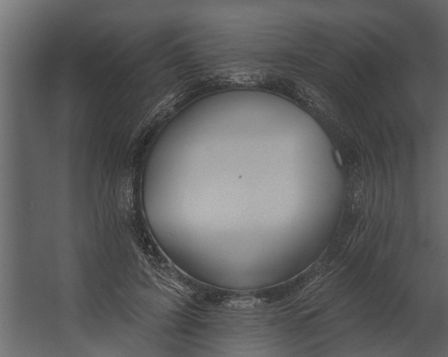 X0000067510595200604211753