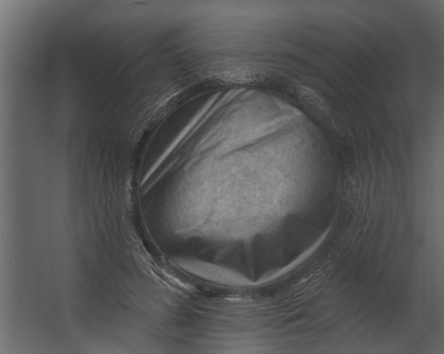 X0000067510596200604211753