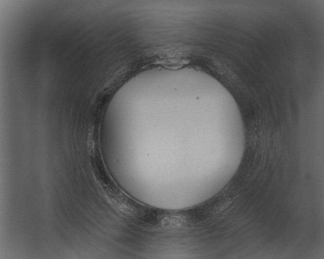 X0000067510599200604211753