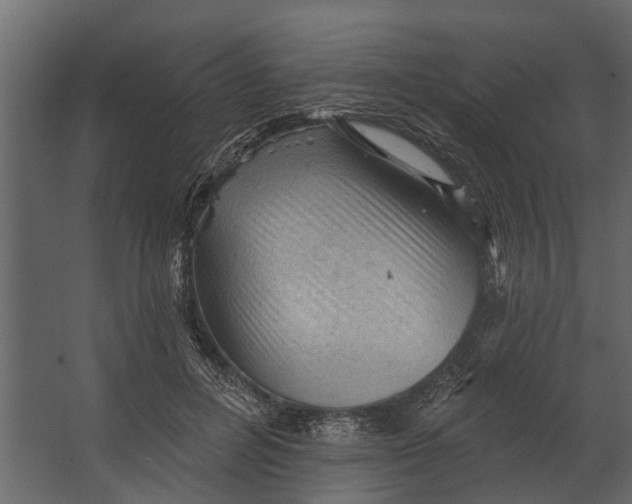 X0000067510600200604211753