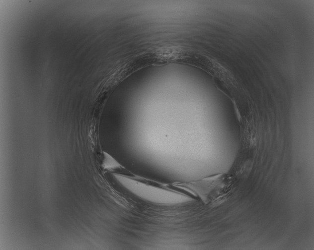 X0000067510601200604211753