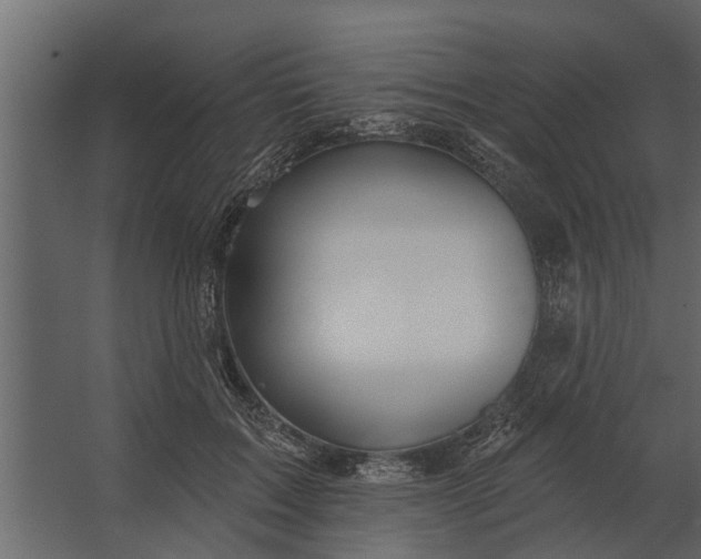 X0000067510603200604211753