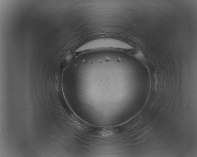 X0000067510604200604211753