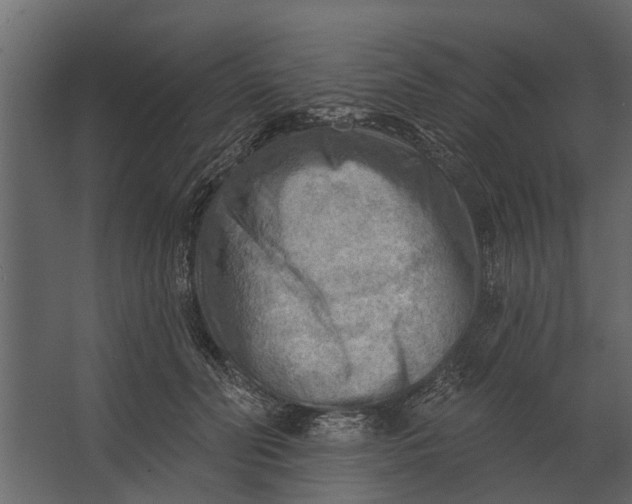 X0000067510606200604211753