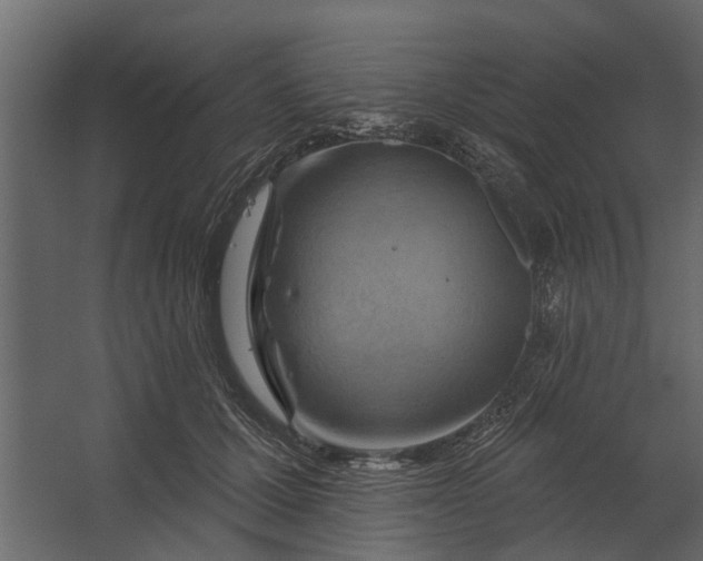 X0000067510607200604211753