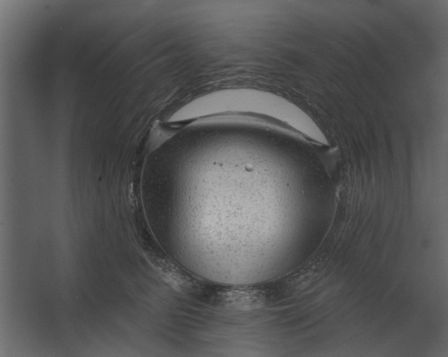 X0000067510615200604211752