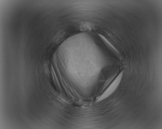 X0000067510616200604211752