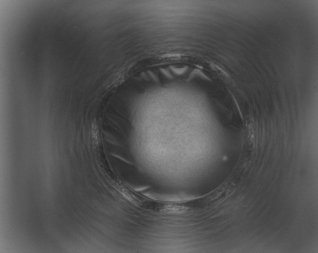 X0000067510617200604211752