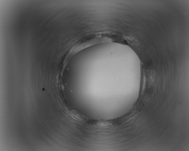 X0000067510619200604211752