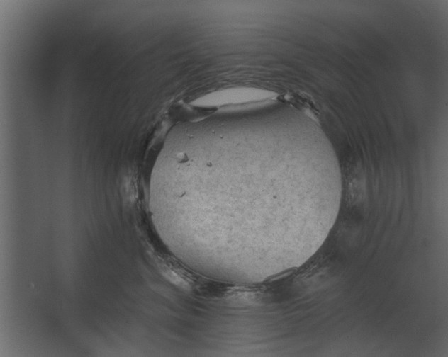 X0000067510620200604211752