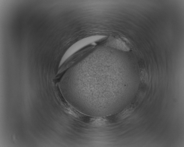 X0000067510621200604211752